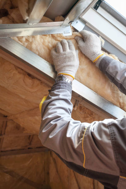 Best Insulation for New Construction  in Erwin, NC